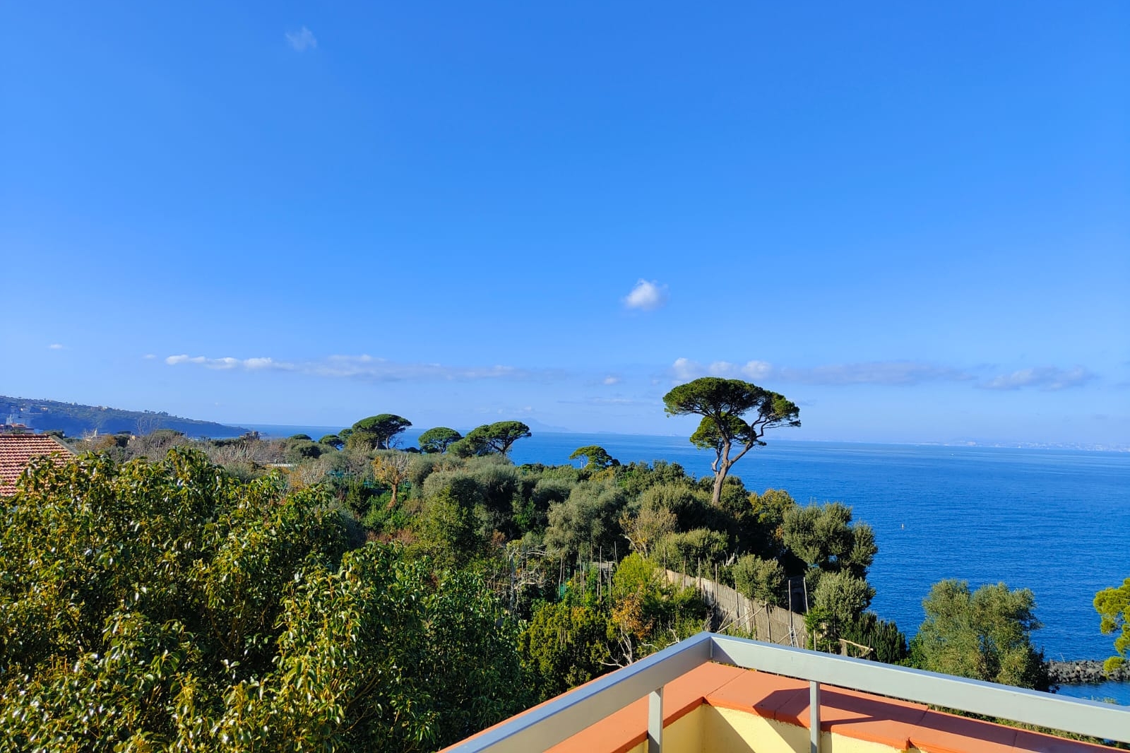 Giardino, villa preziosa, il pizzo, golfo di napoli, vesuvio, vacanze, appartemento
