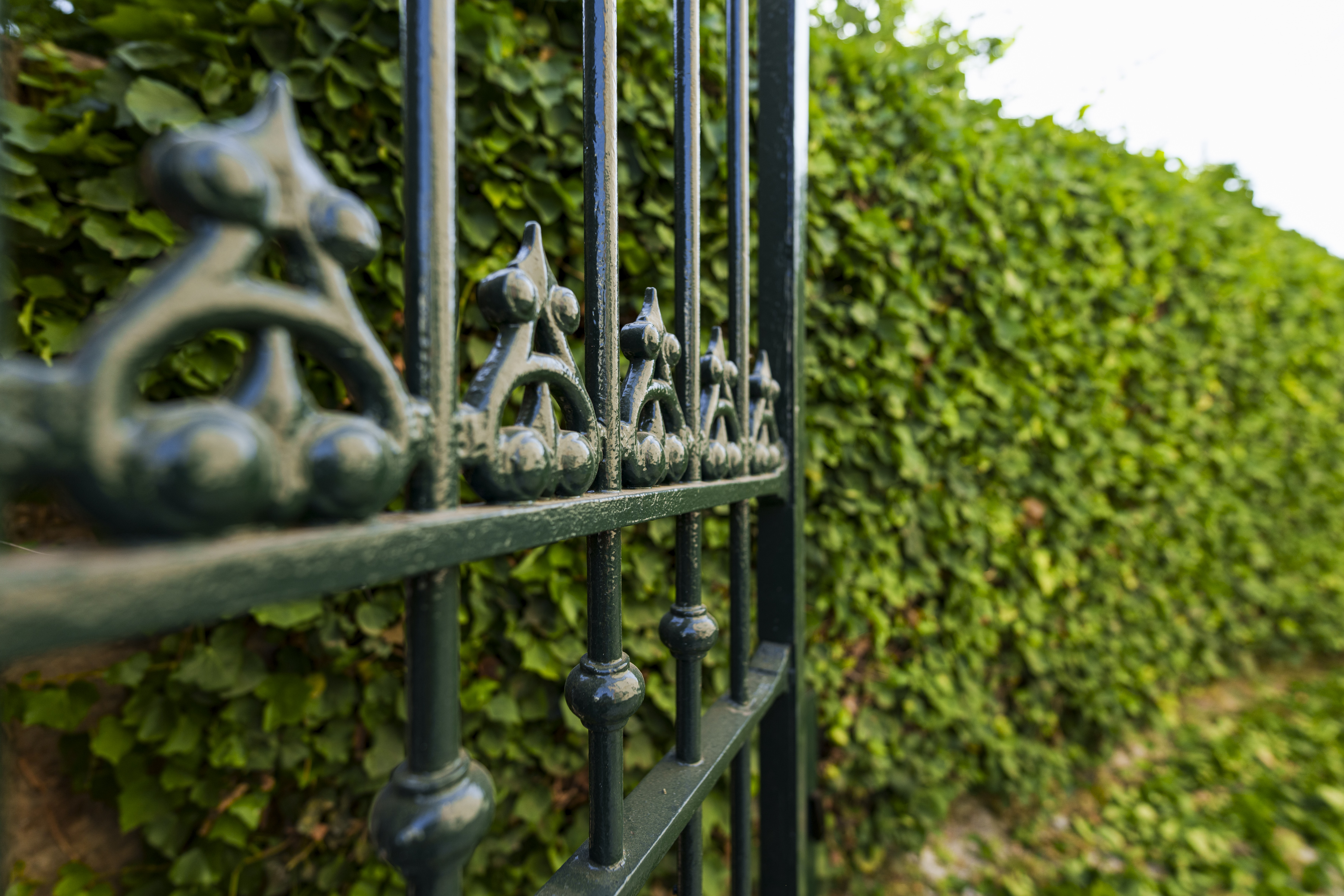 Giardino, villa preziosa, il pizzo, golfo di napoli, vesuvio, vacanze, appartemento