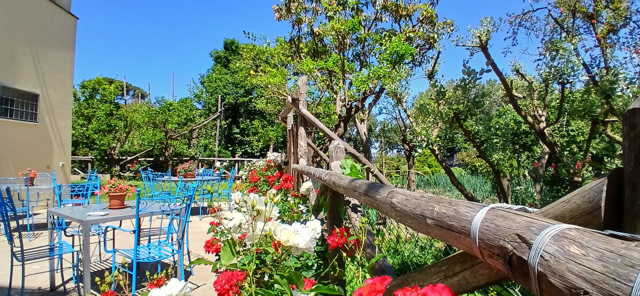 Giardino, villa preziosa, il pizzo, golfo di napoli, vesuvio, vacanze, appartemento
